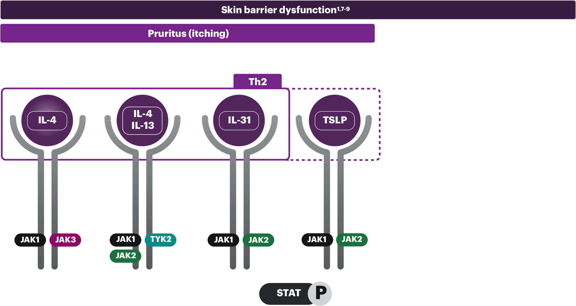 Types of intracellular and extracellular cytokines during atopic dermatitis pruritus (itching).